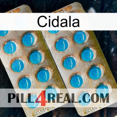 Cidala new08